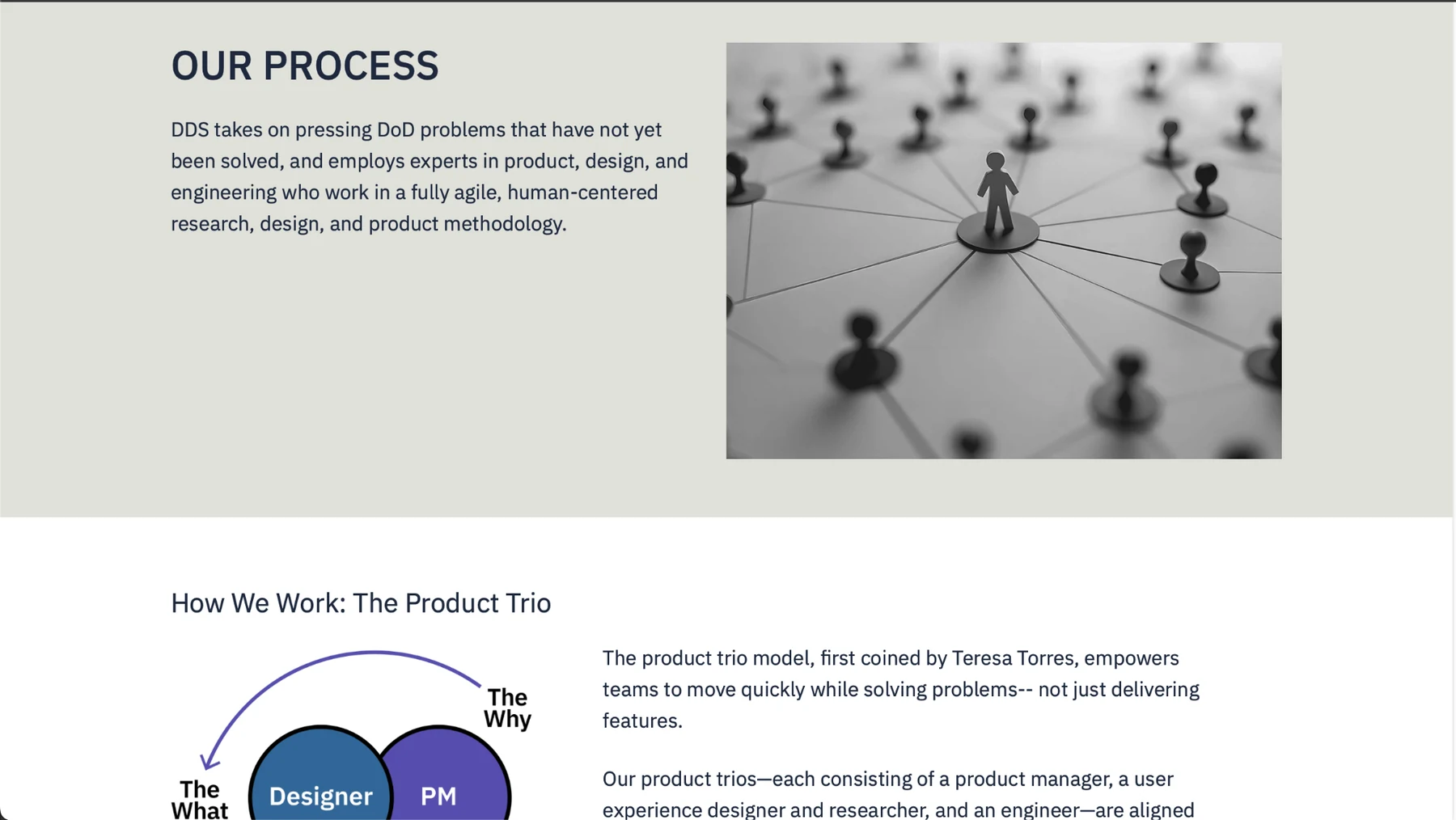 DDS process page showing a process overview and a product trio diagram.