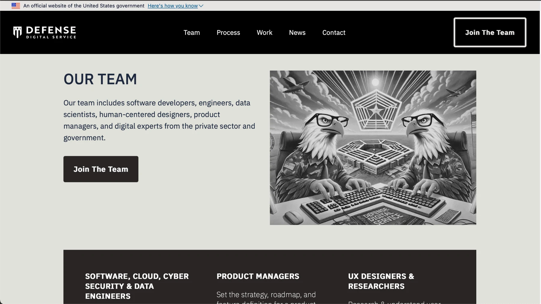 DDS team page with overview copy, join button, team illustration, and role categories.